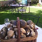 Chanelle Bed & Breakfast 4*