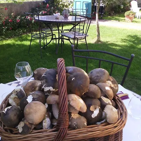 Chanelle Bed & Breakfast 4*