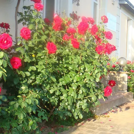 Bed & Breakfast Chanelle Les Rosiers