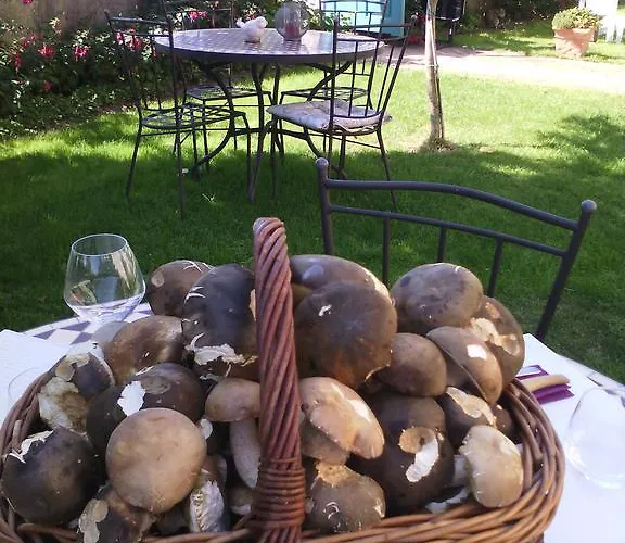 Chanelle Bed & Breakfast 4*